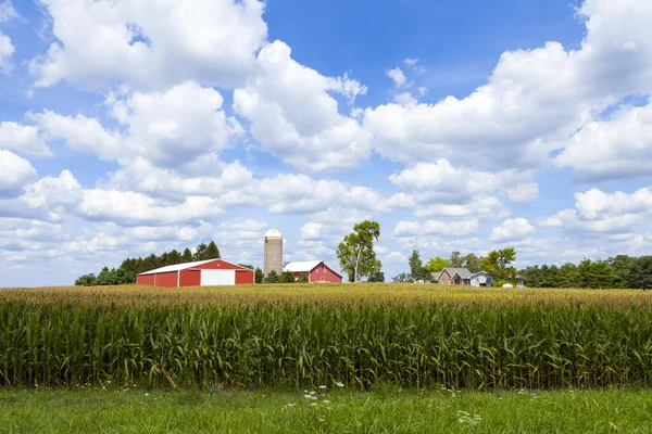 Traditionelle amerikanische rote Farm im Sommer — Stockfoto