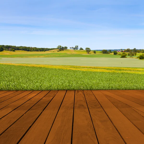 Old Table Surface With Blurred Countryside Landscape — Stock Photo, Image