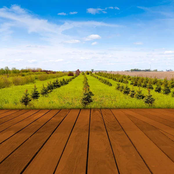 Alte Tischfläche mit verschwommener Landschaft — Stockfoto