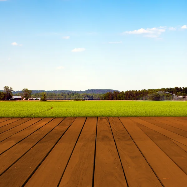 Alte Tischfläche mit verschwommener Landschaft — Stockfoto