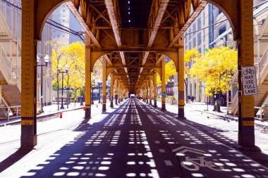 Chicago Caddesi