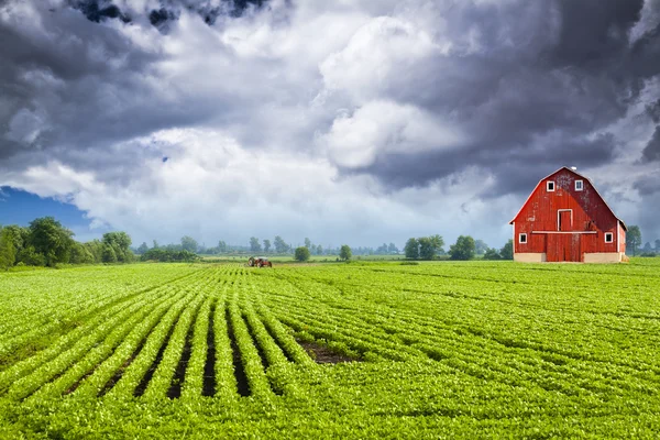 Campo americano — Foto de Stock