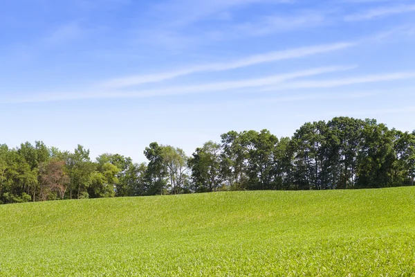 Tierras agrícolas americanas con cielo azul — Foto de Stock