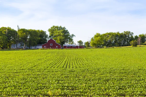 American Countryside — Stock Photo, Image