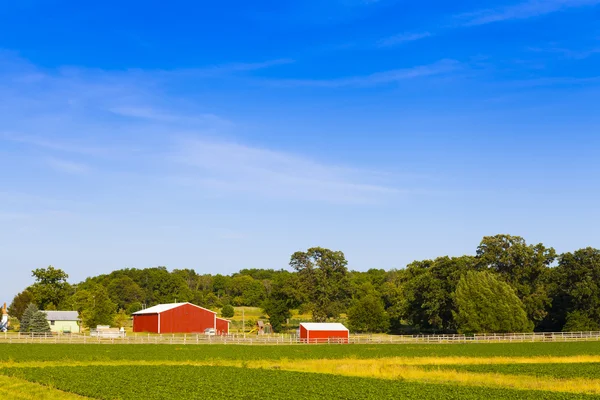 American Countryside — Stock Photo, Image