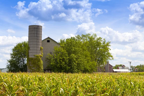 Campo americano — Foto de Stock