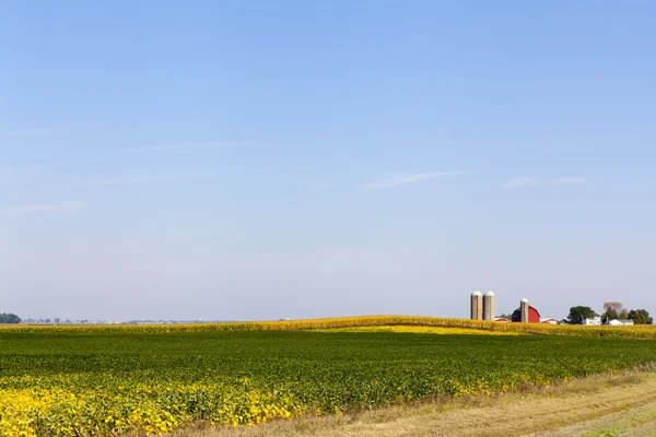 Amerikanische Landschaft — Stockfoto