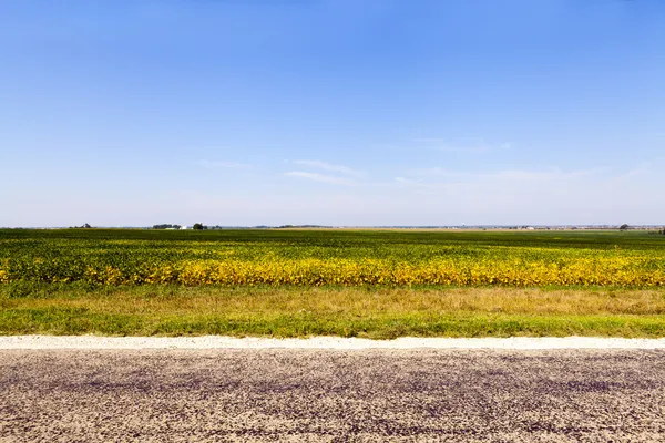 Vista lateral de American Country Road —  Fotos de Stock