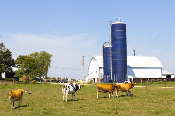 Melk boerderij — Stockfoto