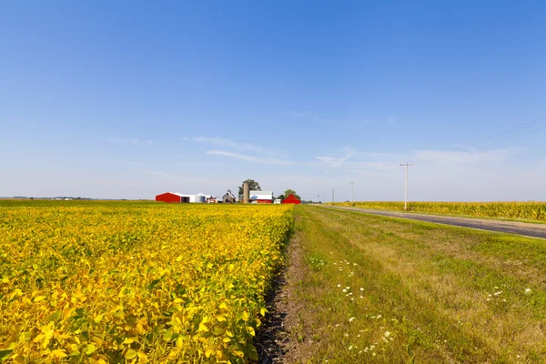 Campo americano — Foto de Stock