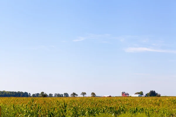 Amerikanska landsbygden — Stockfoto