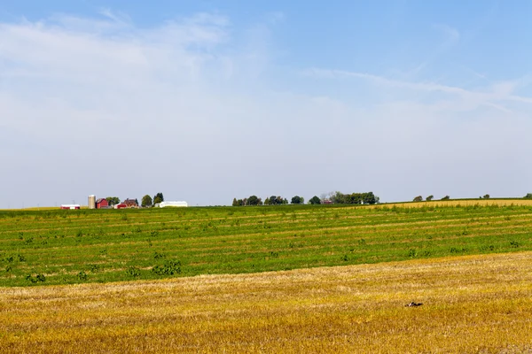 Amerikanska landsbygden — Stockfoto