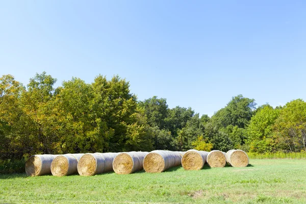 American Countryside — Stock Photo, Image