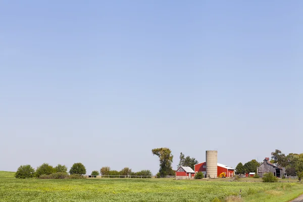 Campagna americana — Foto Stock