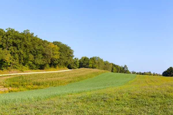 American Countryside — Stock Photo, Image