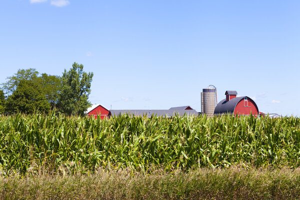 Американская деревня
