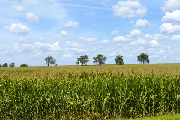 Amerikanische Landschaft — Stockfoto