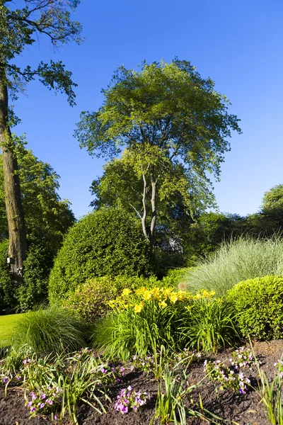 Garden — Stock Photo, Image