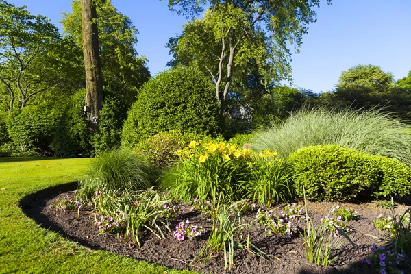 Garden — Stock Photo, Image