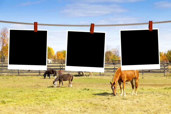 Blank Pictures on American Countryside — Stock Photo, Image