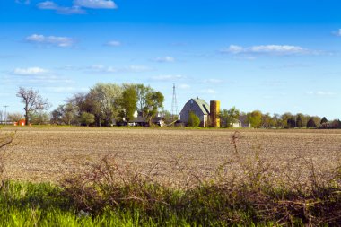 geleneksel Amerikan çiftlik