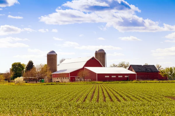 Traditionele Amerikaanse boerderij — Stockfoto