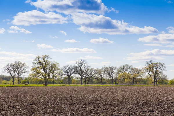 Amerikanische Landschaft — Stockfoto