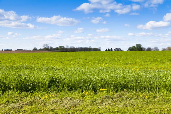 Amerikanische Landschaft — Stockfoto