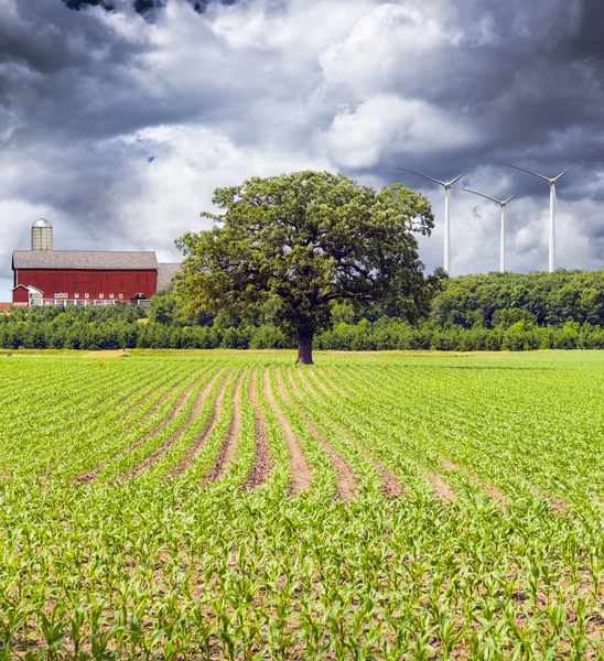 Amerikaanse platteland — Stockfoto