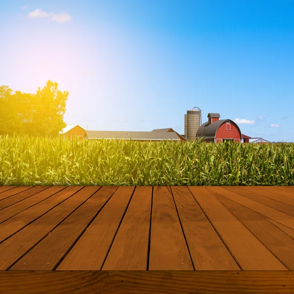 Old Table Surface With Blurred Countryside Landscape — Stock Photo, Image