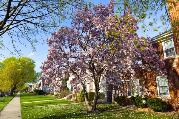 Primavera in periferia — Foto Stock