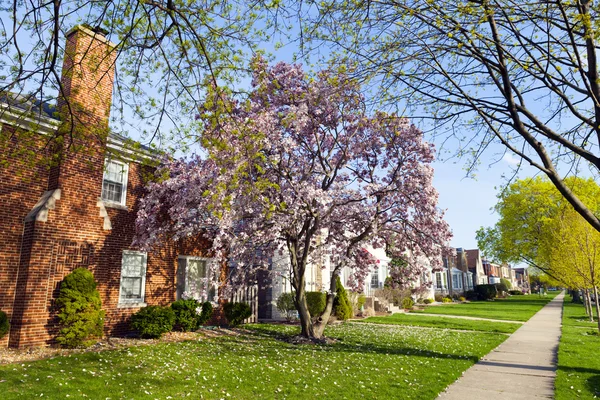 Primavera en los suburbios — Foto de Stock