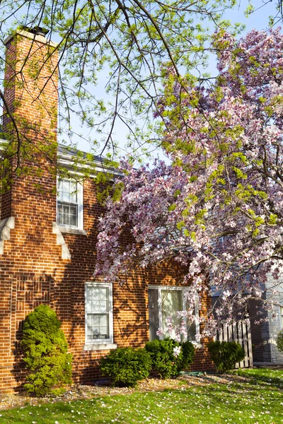 Spring in suburbs — Stock Photo, Image