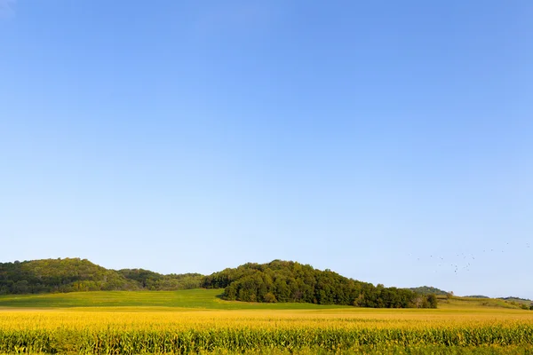 Amerikanska landsbygden — Stockfoto