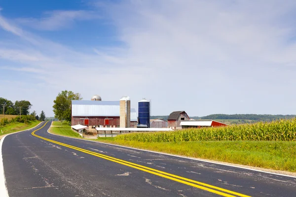 Strada di campagna — Foto Stock