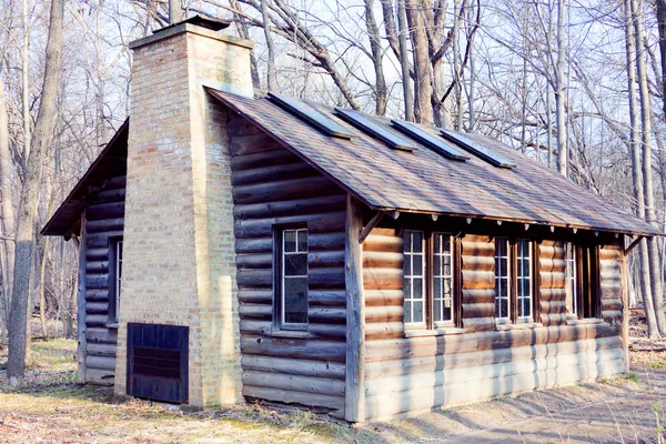 Hus i skoven - Stock-foto