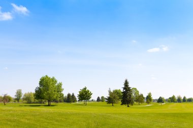 Golf Sahası