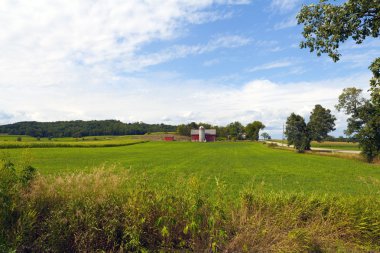 Mavi Bulutlu Amerikan Çiftliği