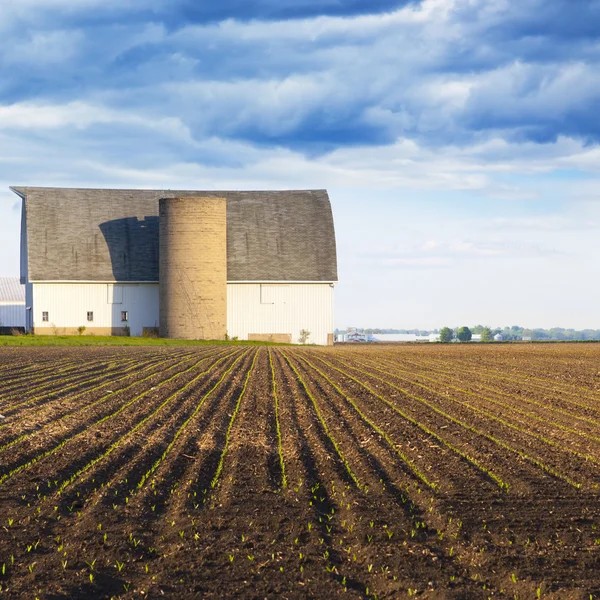 Campagna americana — Foto Stock