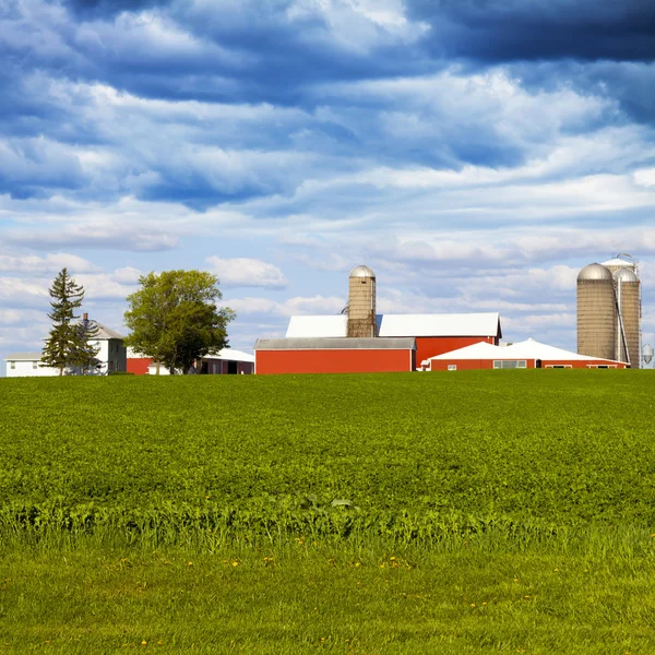 Campagne américaine — Photo