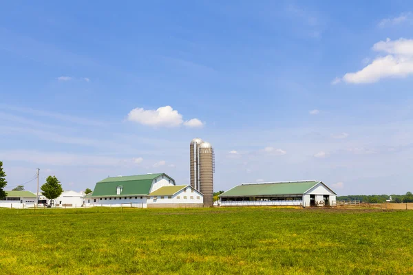 Молочній фермі — стокове фото