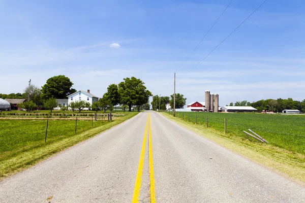 Country Road — Stock Photo, Image