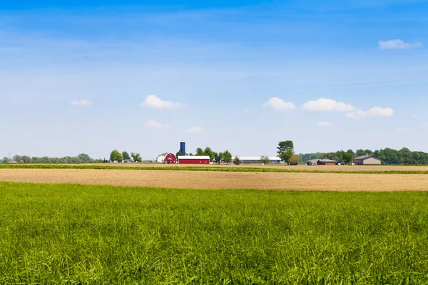 Campo americano — Foto de Stock