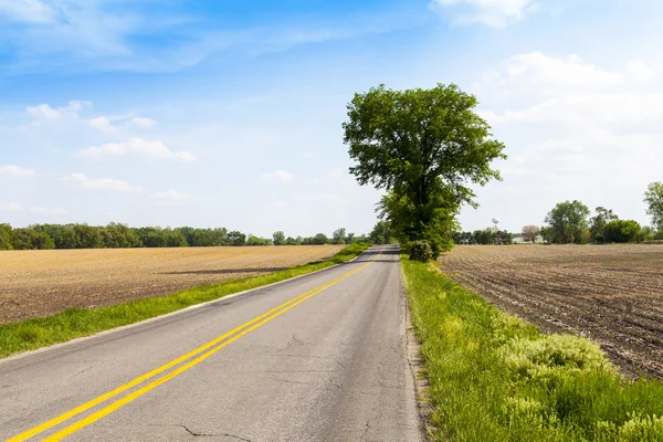 Strada di campagna — Foto Stock