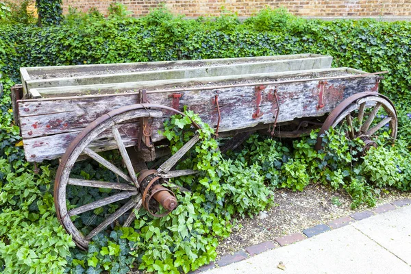 Geheimer Garten — Stockfoto