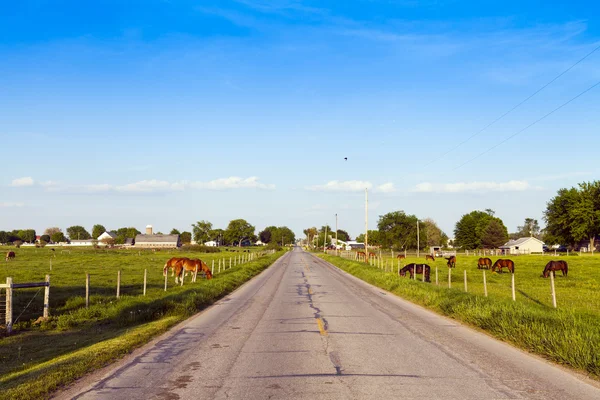 Amerikaanse platteland weg met blauwe hemel — Stockfoto