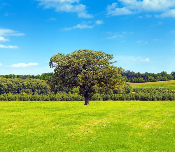 Amerikanska landsbygden — Stockfoto