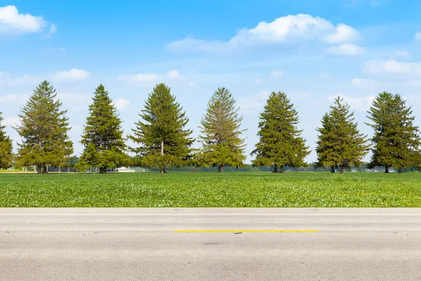 Vista lateral de American Country Road — Foto de Stock
