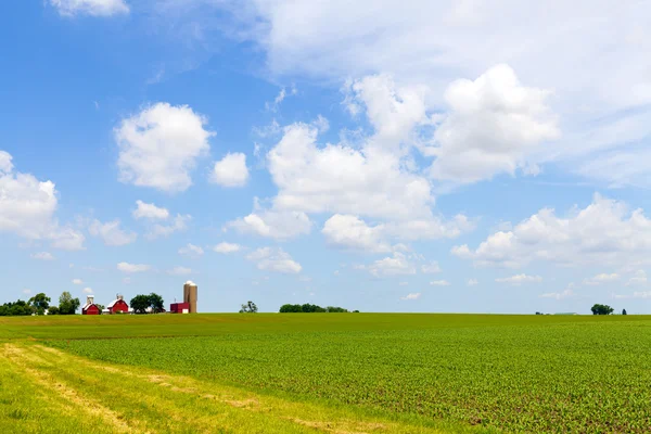 Traditional Vintage Red Farm — Stock Photo, Image