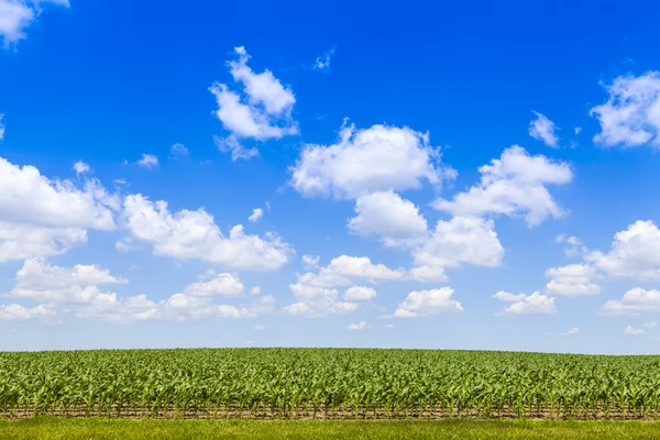 Amerikaanse land landschap — Stockfoto